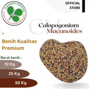 Calopogonium-Mucunoides-CM-1