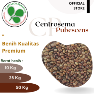 Centrosema-Pubescens-CP-1