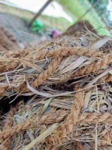 Cocomesh dan Coir Blanket