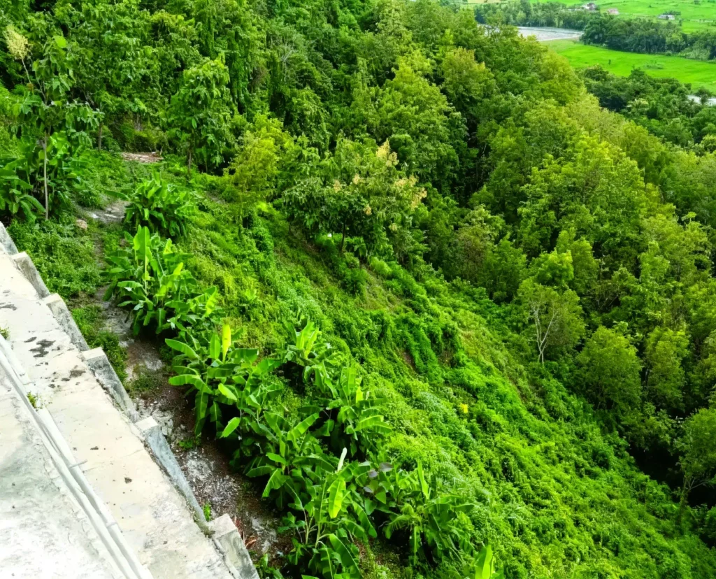 Pengendalian Erosi / Erosion Control