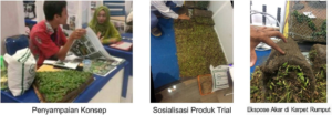 Karpet Rumput