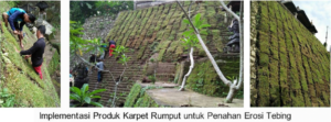 Karpet Rumput