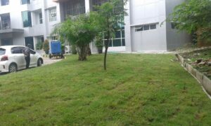 Landscape dan Pertamanan