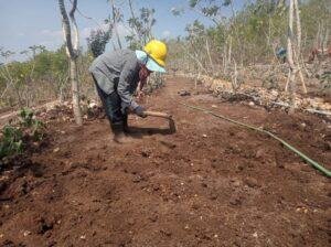 Lanskap - Revegetasi Rehabilitasi Lahan