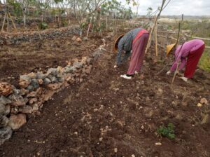 Lanskap - Revegetasi Rehabilitasi Lahan