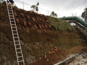 Lanskap - Revegetasi Rehabilitasi Lahan