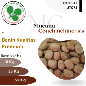 Mucuna-Conchinchinensis-MC-1