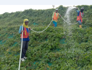 Pengendalian Erosi / Erosion Control