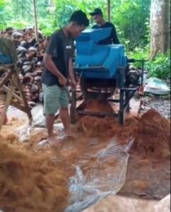 Coco Fiber