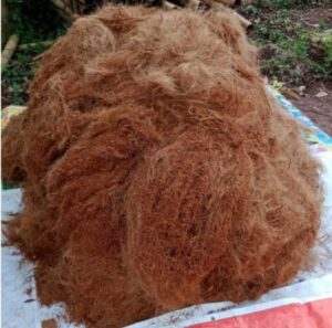 Coco Fiber