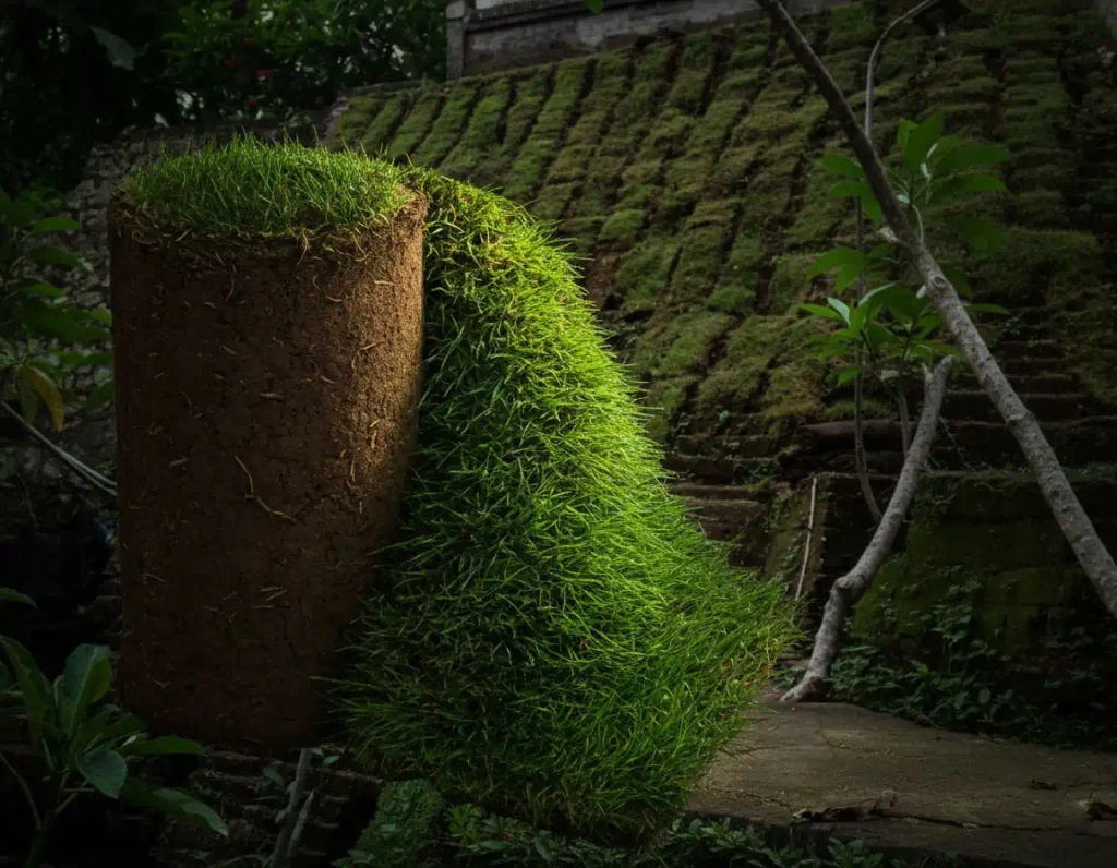 Karpet Rumput