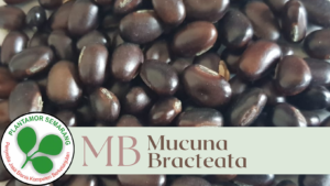 mb-2