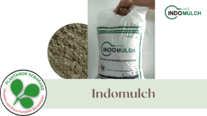 Indomulch