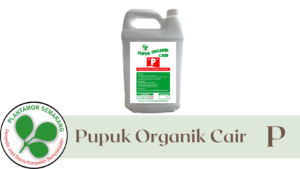 Produk Organi Cair P (Fosfor)