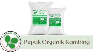 Pupuk Organik Kambing