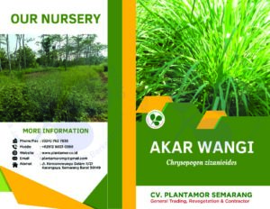 AKAR WANGI