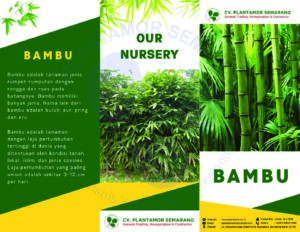 Keindahan dan Manfaat Bambu dalam Desain Lanskap Modern