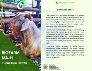 BIOFARM MA 11