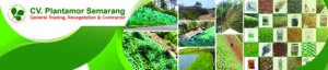 Banner Web-03