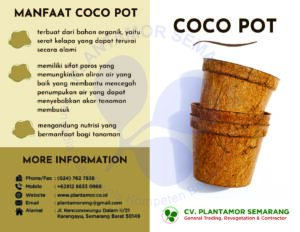 COCOPOT