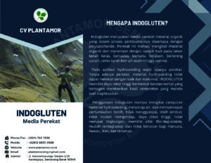 INDOGLUTEN