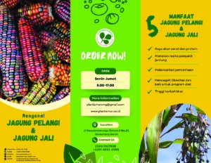 Jagung Jali