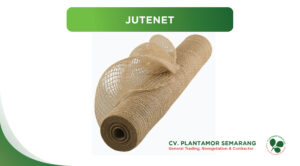 Jutenet