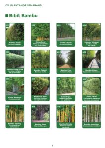 Galeri Produk Vegetasi