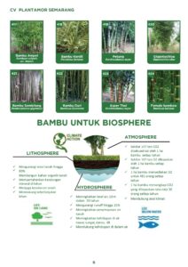 Galeri Produk Vegetasi