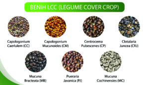 LCC-01