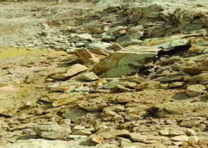 Pemberaian di Batu Felspar-01