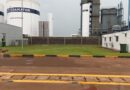 Landscape dan Pertamanan