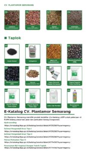 09 Taplok