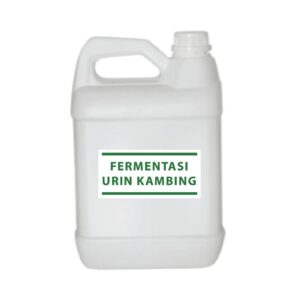 Fermentasi Urin Kambing