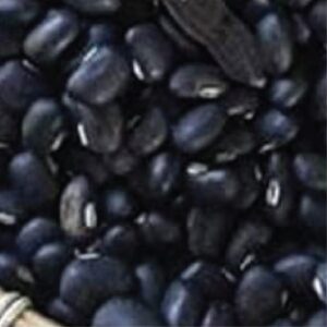 mcucuna-pruriens