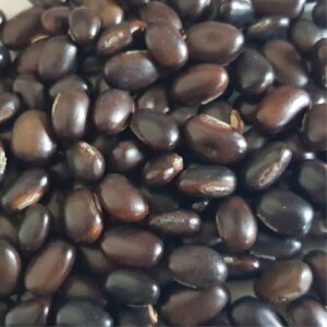 mucuna-bracteata