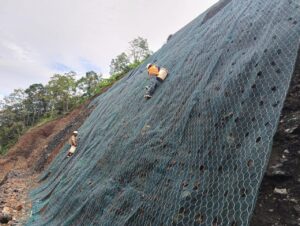 bolong-jaring3