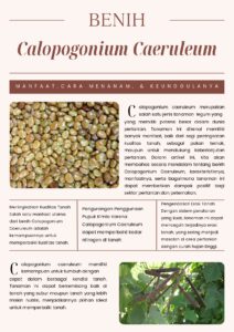 Calopogonium caeruleum ( CC )