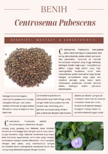 Centrosema pubescens ( CP )