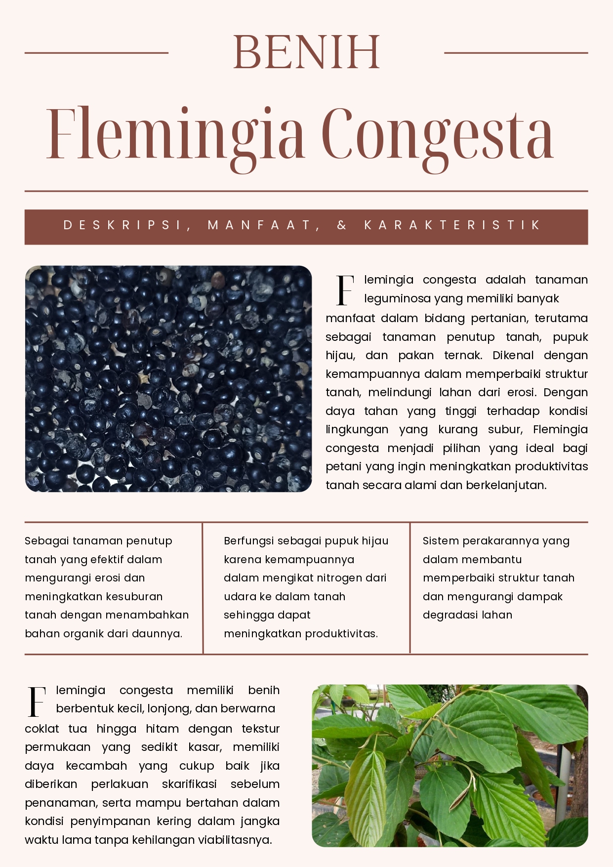 Manfaat Flemingia Congesta dari CV Plantamor