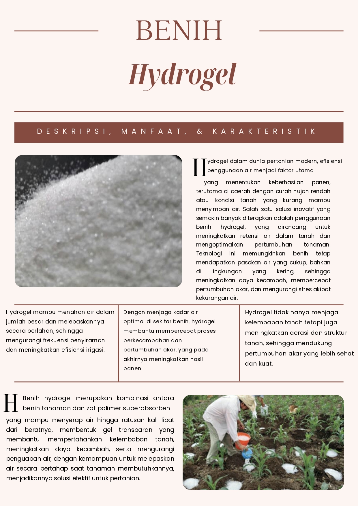 Infografis Produk Hydrogel CV Plantamor