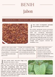 Jabon