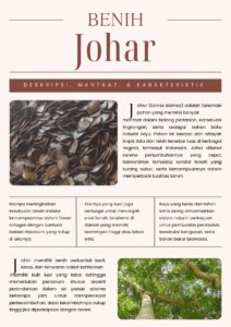 Johar