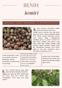 Kemiri