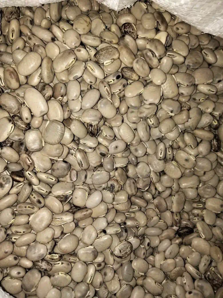 Mucuna cochinchinensis (MC)