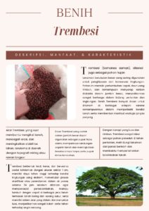 Trembesi
