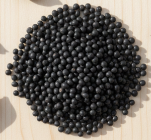 Gemini_Generated_Image_89p3u889p3u889p3