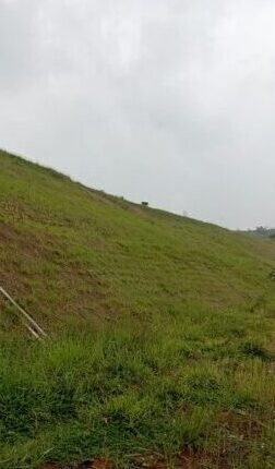 Hydroseeding