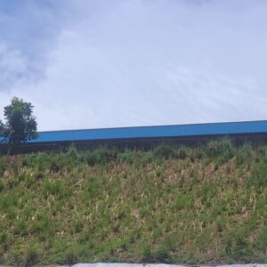 Vetiver sebagai Bio-Erosion Control Lereng Curam